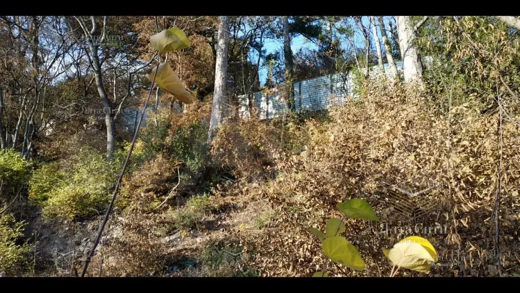Участок 15 сот. (ИЖС) - Фото 1