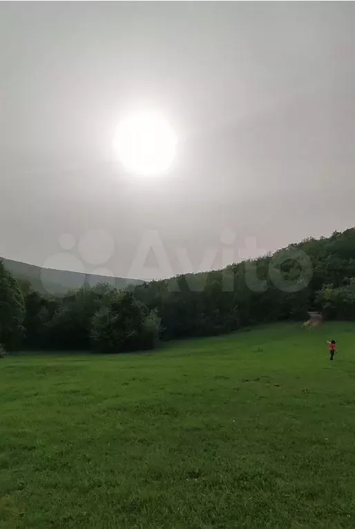Участок 100 сот. (СНТ, ДНП) - Фото 0