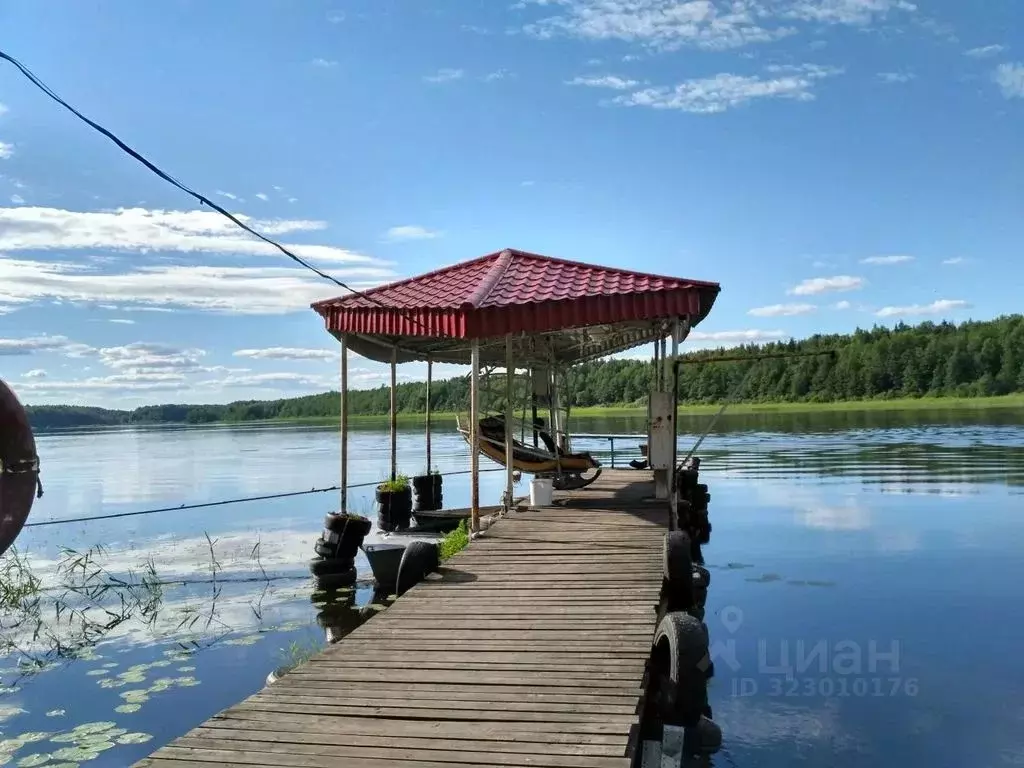 Дом в Ленинградская область, Выборгский район, Гончаровское с/пос, ... - Фото 1