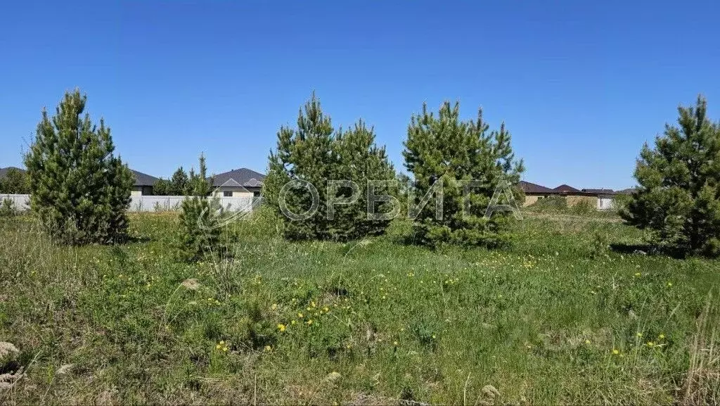 Участок в Тюменская область, Тюменский муниципальный округ, с. ... - Фото 2