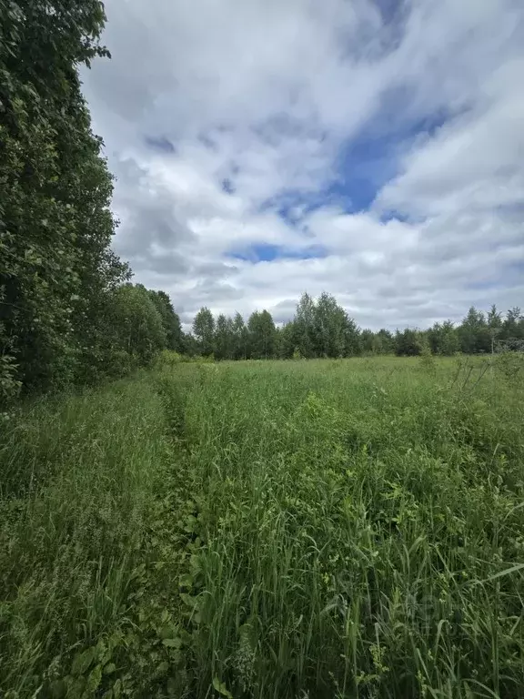 Участок в Пермский край, Краснокамский муниципальный округ, д. Мошни ... - Фото 2