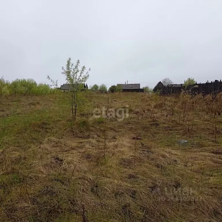 Участок в Свердловская область, Горноуральский городской округ, с. Лая ... - Фото 0