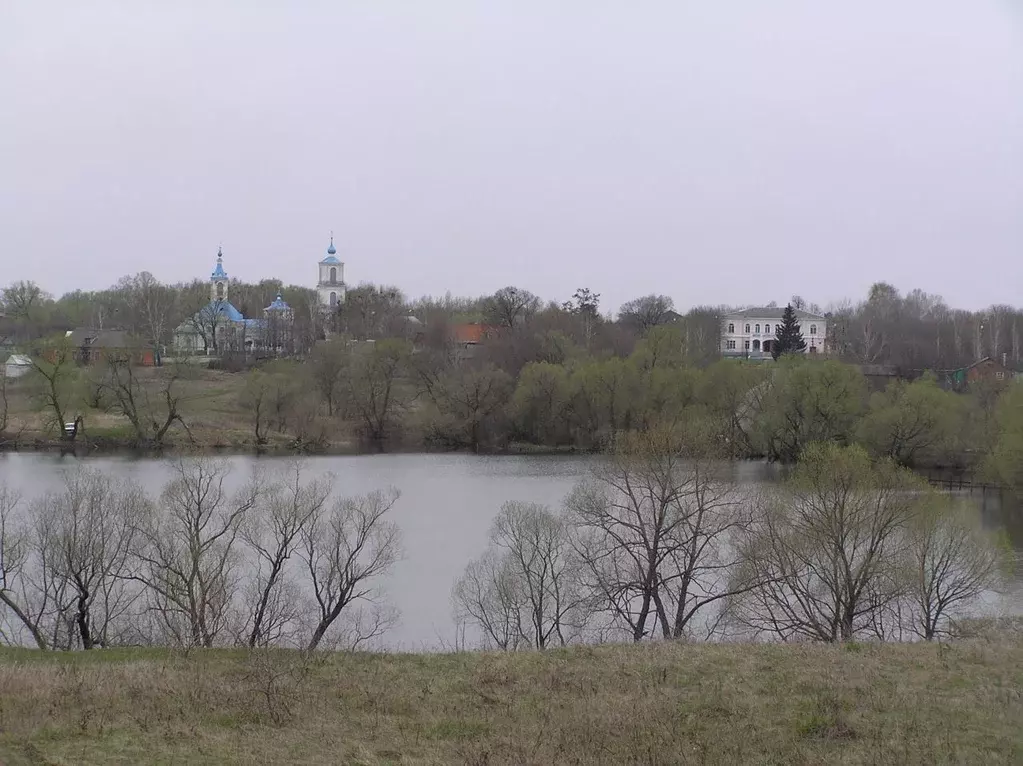Участок в Тульская область, Кимовский район, Новольвовское с/пос, д. ... - Фото 2