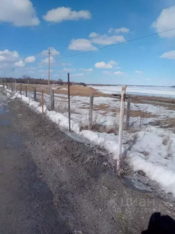 Участок в Амурская область, Благовещенский район, с. Прядчино Речная ... - Фото 2