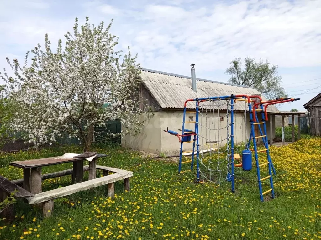 Дом в Мордовия, Ромодановский район, с. Пушкино ул. Жуковка, 6 (23 м) - Фото 1