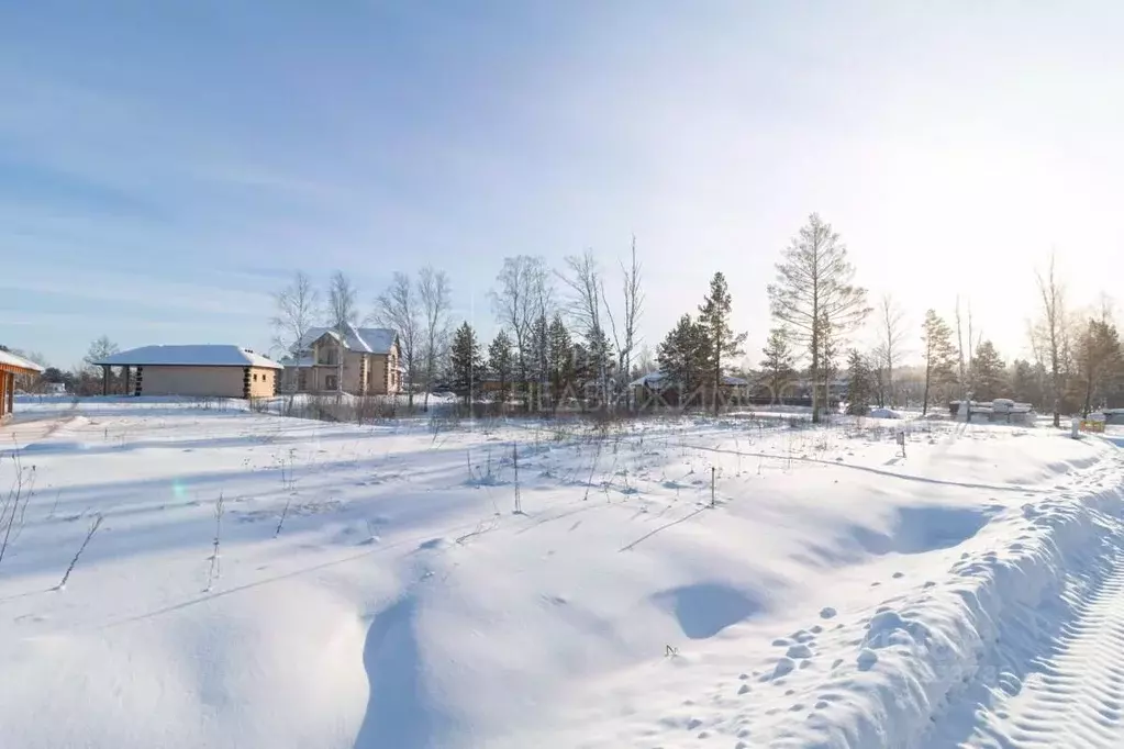 Участок в Тюменская область, Тюменский муниципальный округ, с. ... - Фото 1