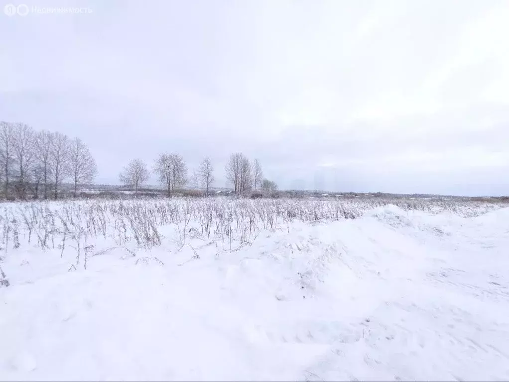 Участок в Староладожское сельское поселение, деревня Подол, коттеджный ... - Фото 2