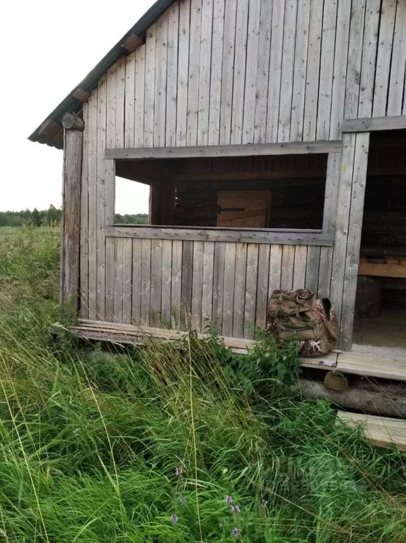 Участок в Пермский край, Ильинский муниципальный округ, с. Филатово  ... - Фото 2