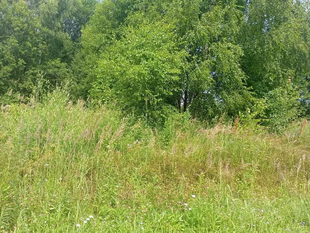 Участок в Московская область, Талдомский городской округ, д. Бельское  ... - Фото 0