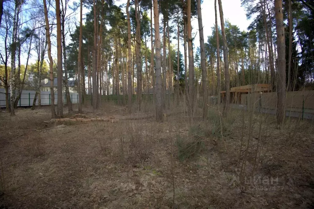 Участок в Московская область, Одинцовский городской округ, д. Бородки, ... - Фото 0