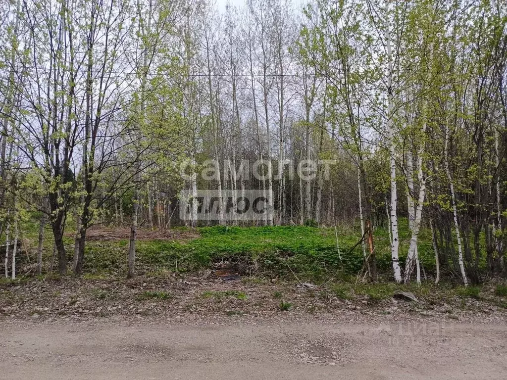 Участок в Томская область, Томск пос. Родионово, ул. Магистральная, 31 ... - Фото 0