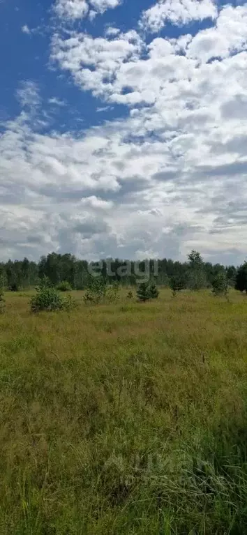 Участок в Новосибирская область, Искитимский район, Гусельниковский ... - Фото 1