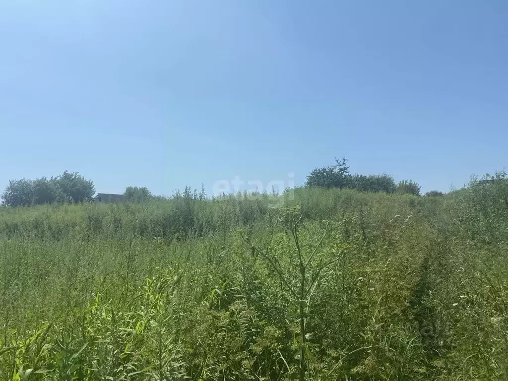 Участок в Брянская область, Брянск Снежка ГСО,  (8.0 сот.) - Фото 1