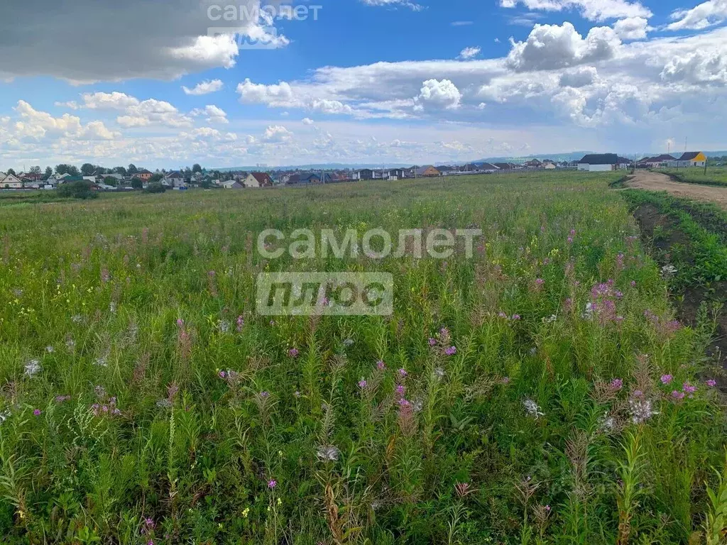 участок в иркутская область, иркутский район, с. мамоны ул. . - Фото 1