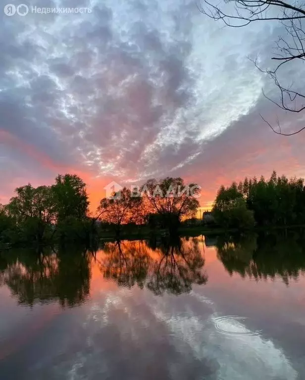 Участок в Московская область, городской округ Коломна, деревня ... - Фото 2