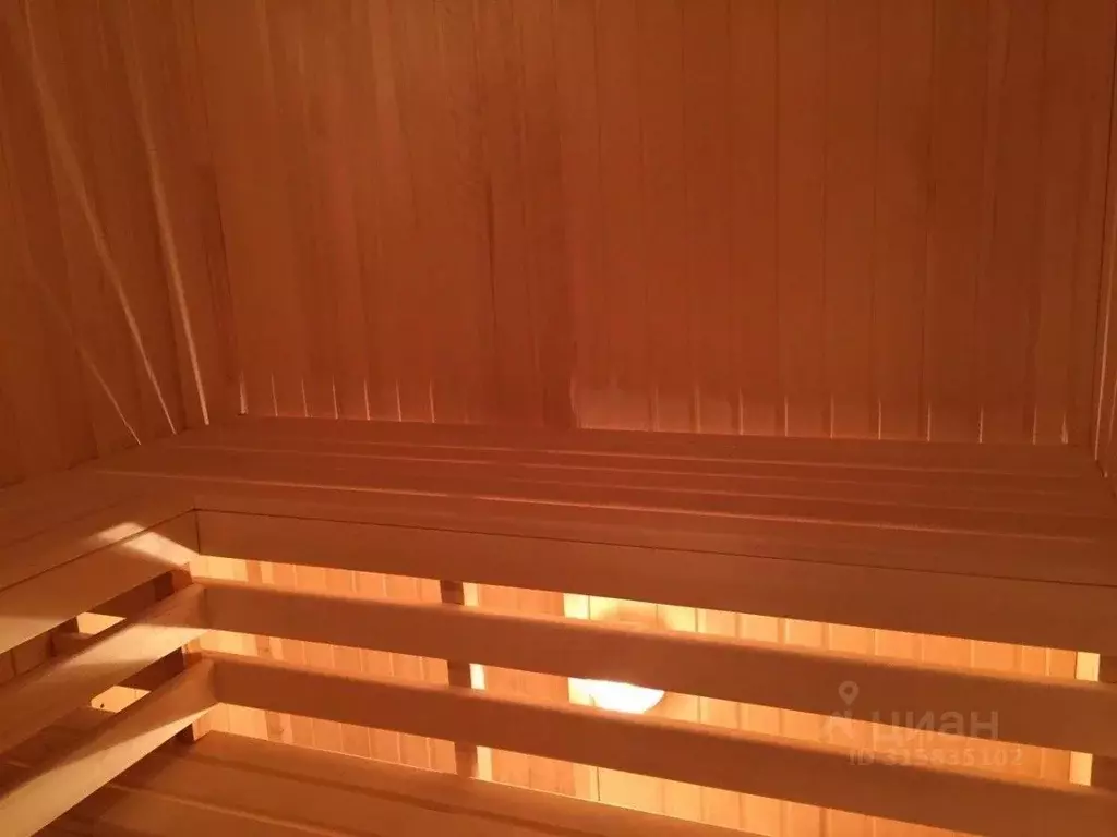 Дом в Санкт-Петербург, Санкт-Петербург, Пушкин Рехколово СНТ, 9-я ... - Фото 2