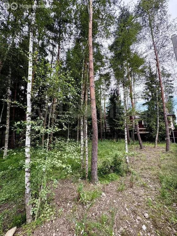 Участок в Химки, ТСН Новогорск Лес (25.9 м) - Фото 2