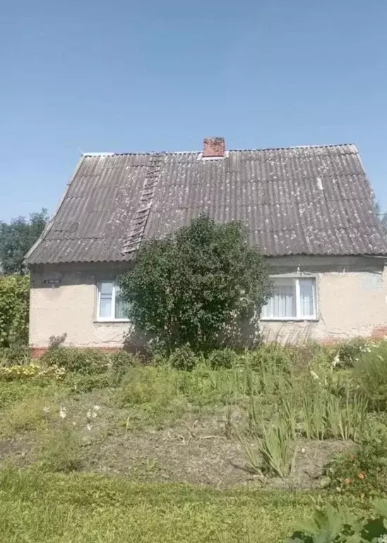 Дом в Калининградская область, Гусев ул. Победы, 56 (75 м) - Фото 2