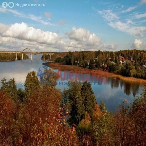 Участок в Выборгский район, Селезнёвское сельское поселение, посёлок ... - Фото 0