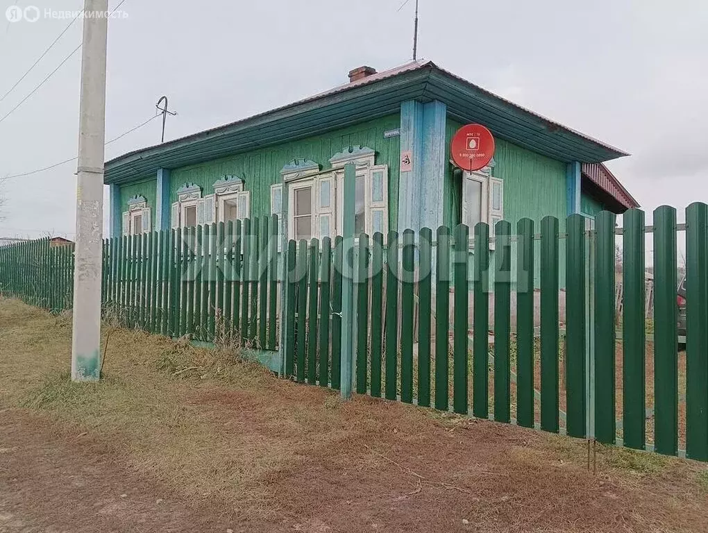 Дом в деревня Издревая, переулок Мичурина (46.6 м) - Фото 0