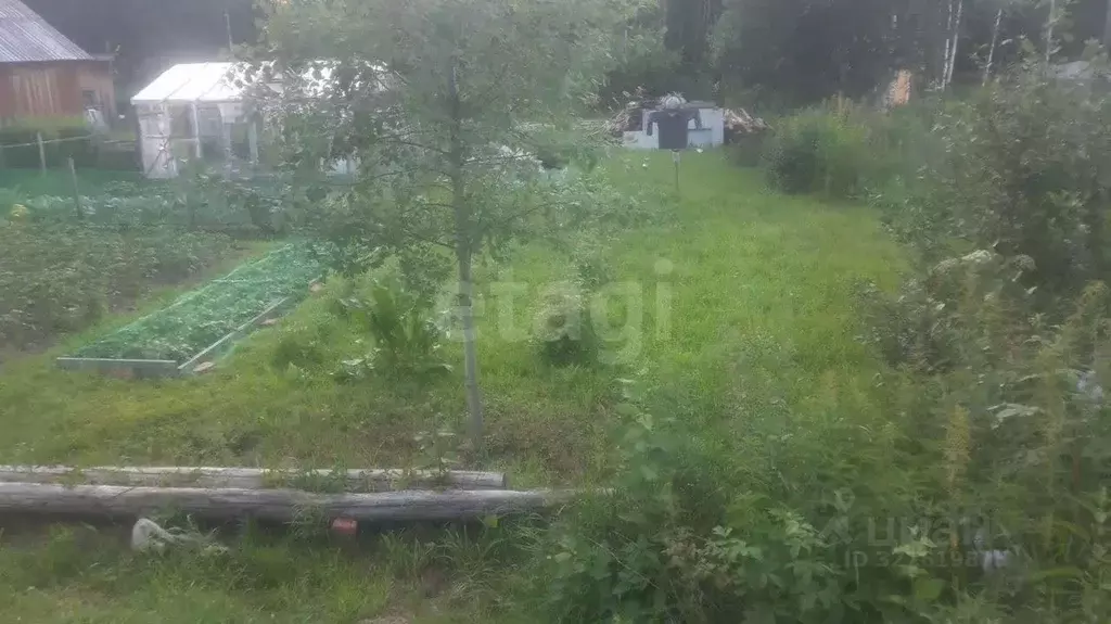 Участок в Томская область, Томский район, д. Кисловка, Огонек садовое ... - Фото 2