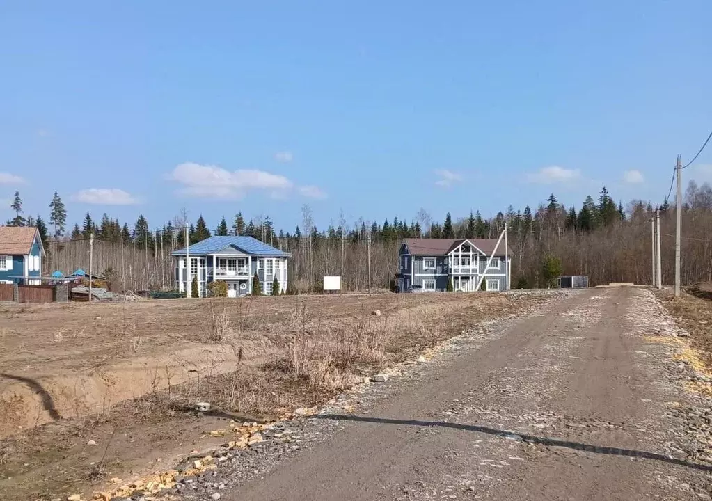 Участок в Ленинградская область, Всеволожский район, Лесколовское ... - Фото 1