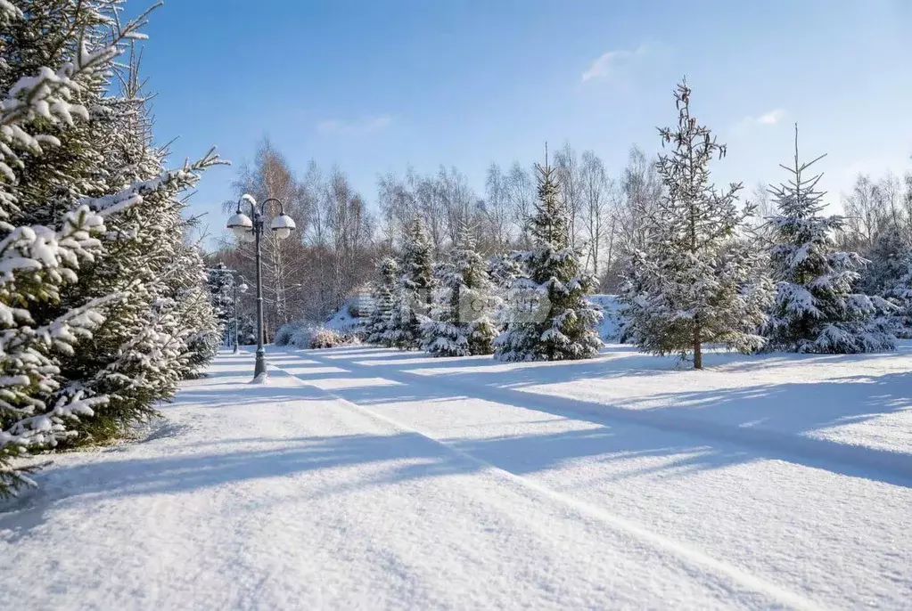 Участок в Московская область, Одинцовский городской округ, с. ... - Фото 1