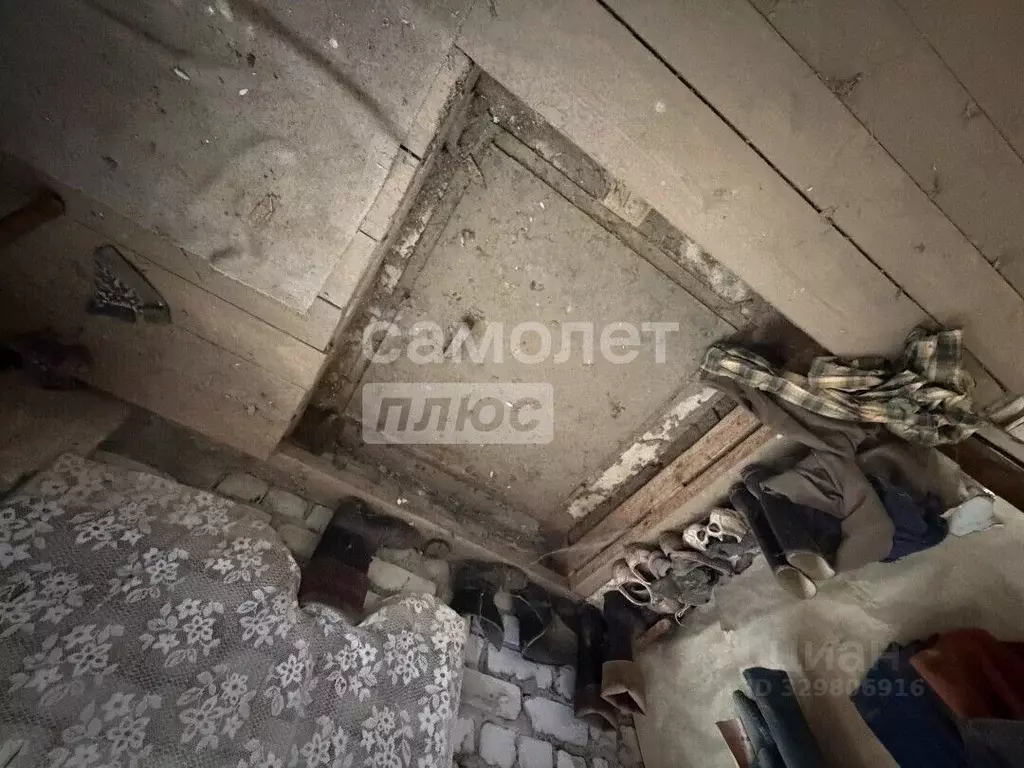 Участок в Брянская область, Брянск Коммунальник садовое общество, 323 ... - Фото 2