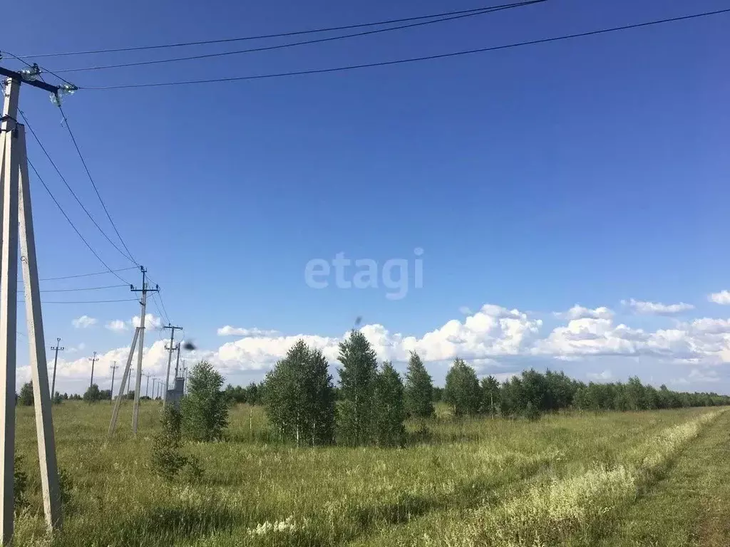 Участок в Кемеровская область, Кемеровский муниципальный округ, с. ... - Фото 1