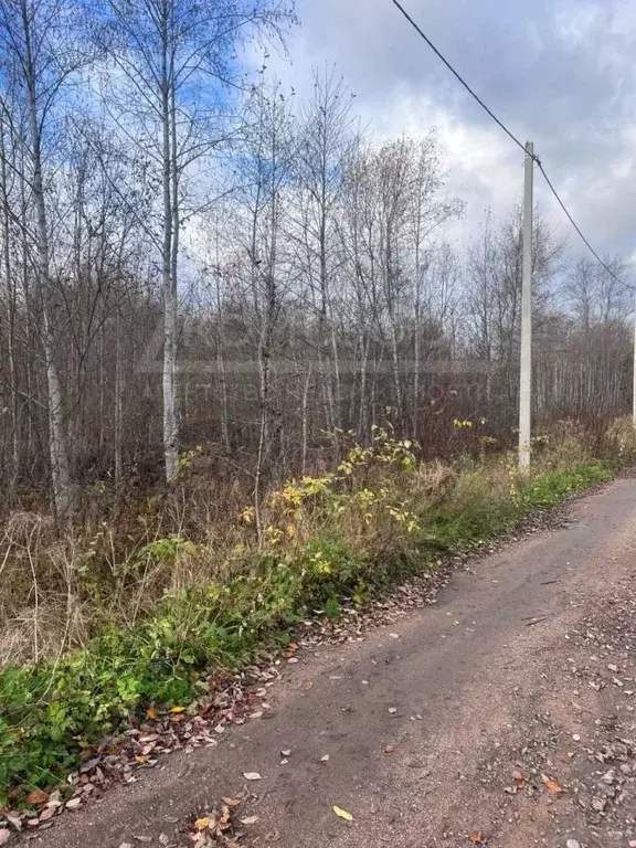 Участок в Ленинградская область, Выборг проезд Храбрый (15.0 сот.) - Фото 0