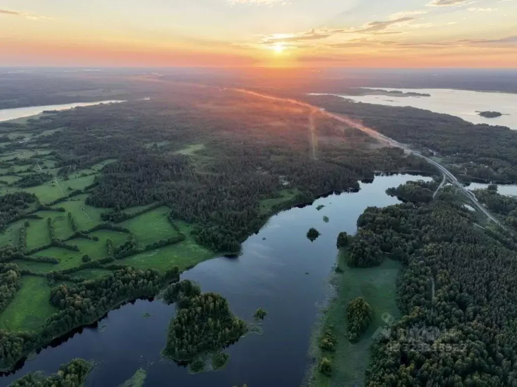 Участок в Ленинградская область, Приозерский район, Ромашкинское ... - Фото 2