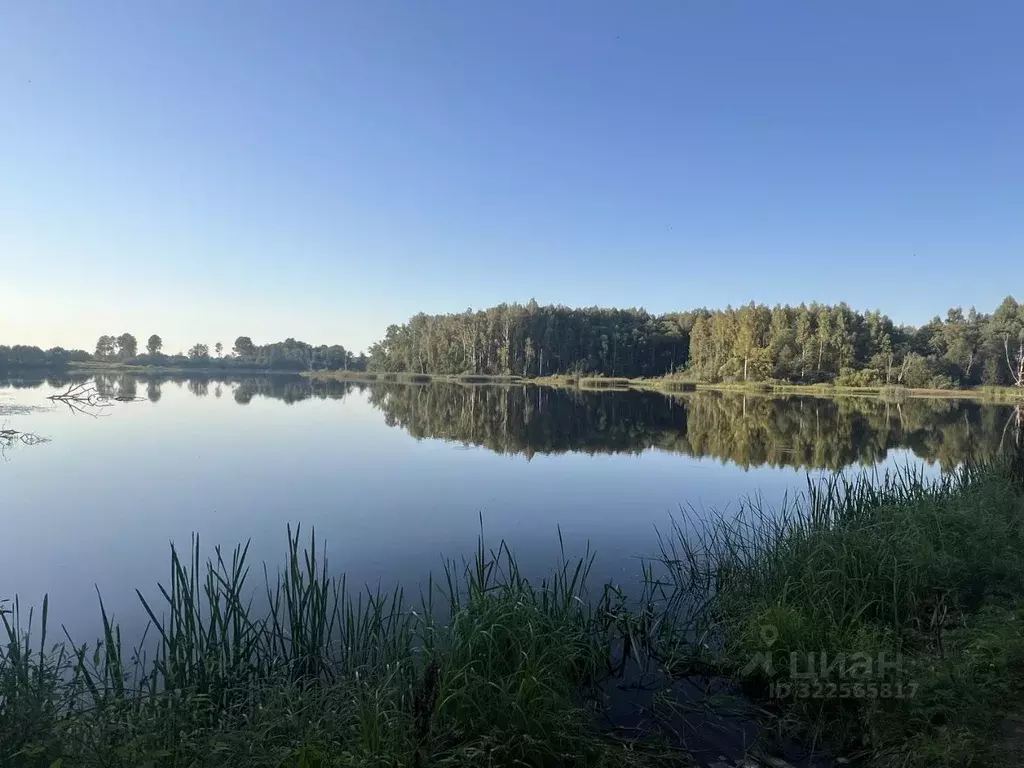 Участок в Смоленская область, Гагаринский муниципальный округ, ... - Фото 1