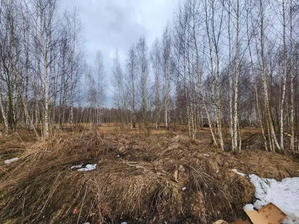 Участок в Московская область, Щелково городской округ, Монино рп ш. ... - Фото 0