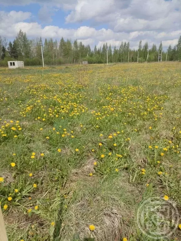 Участок в Ленинградская область, Всеволожский район, Рахьинское ... - Фото 0
