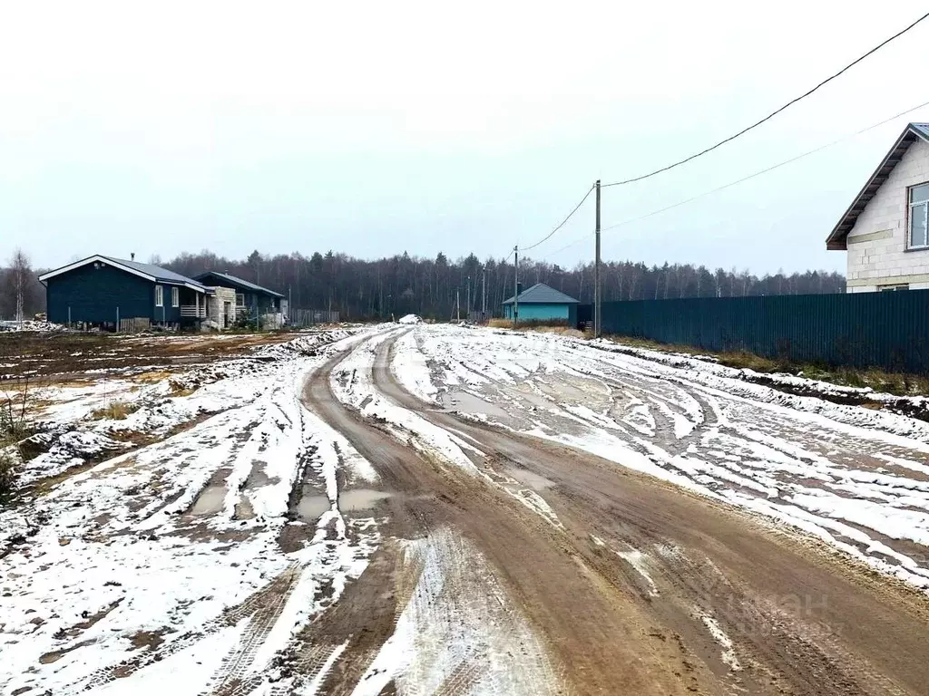 Участок в Владимирская область, Владимир д. Шепелево, ул. Большая ... - Фото 1