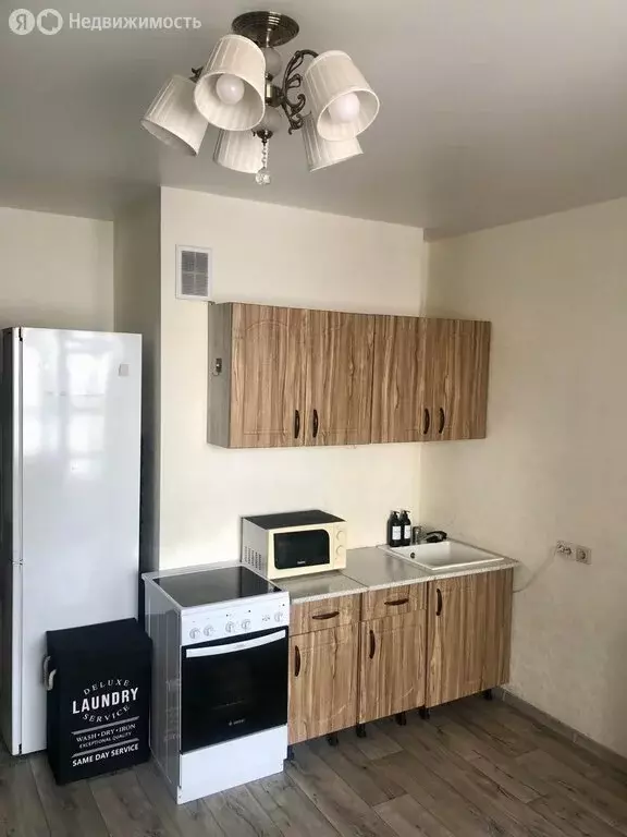 Квартира-студия: Барнаул, Партизанская улица, 203 (25.2 м) - Фото 2