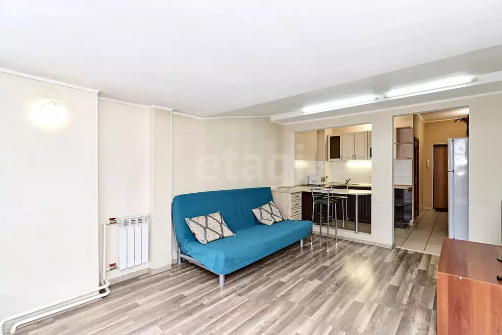 Квартира-студия: Томск, Алтайская улица, 24 (32.7 м) - Фото 2