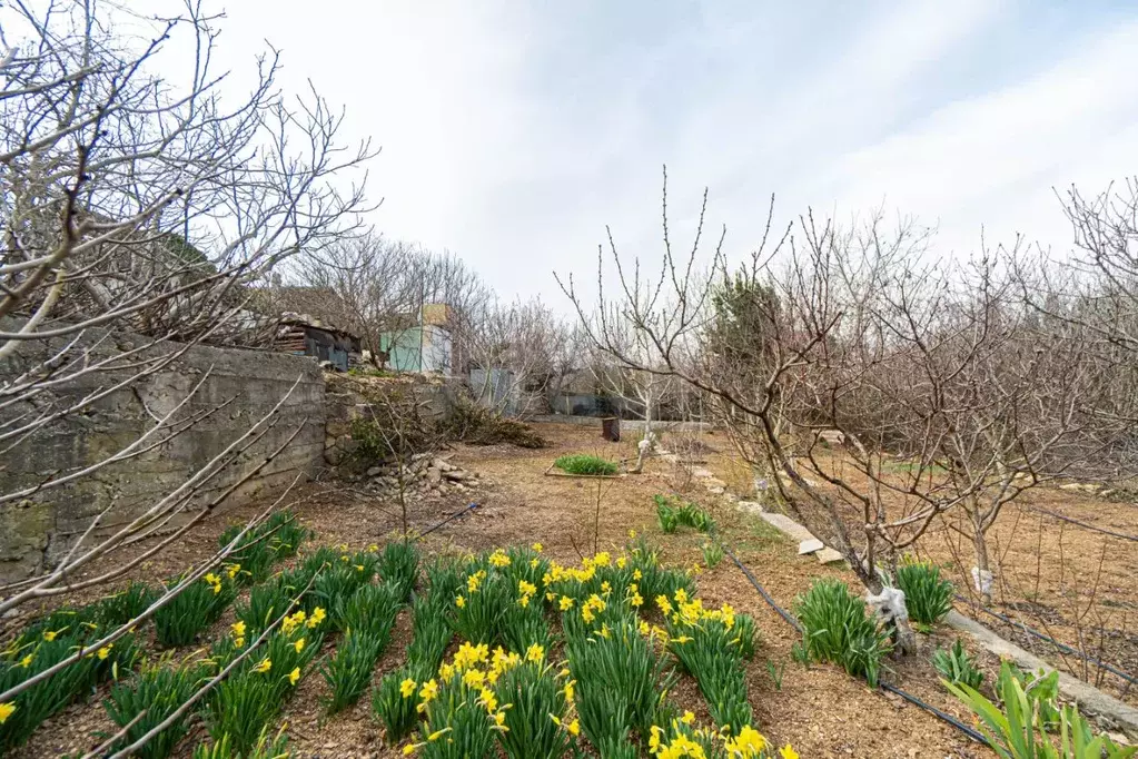 Участок в Севастополь Маяк-1 садовое товарищество, ул. Фруктовая (6.4 ... - Фото 2