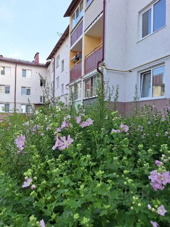 2-к кв. Владимирская область, Лакинск г. Собинский муниципальный ... - Фото 0