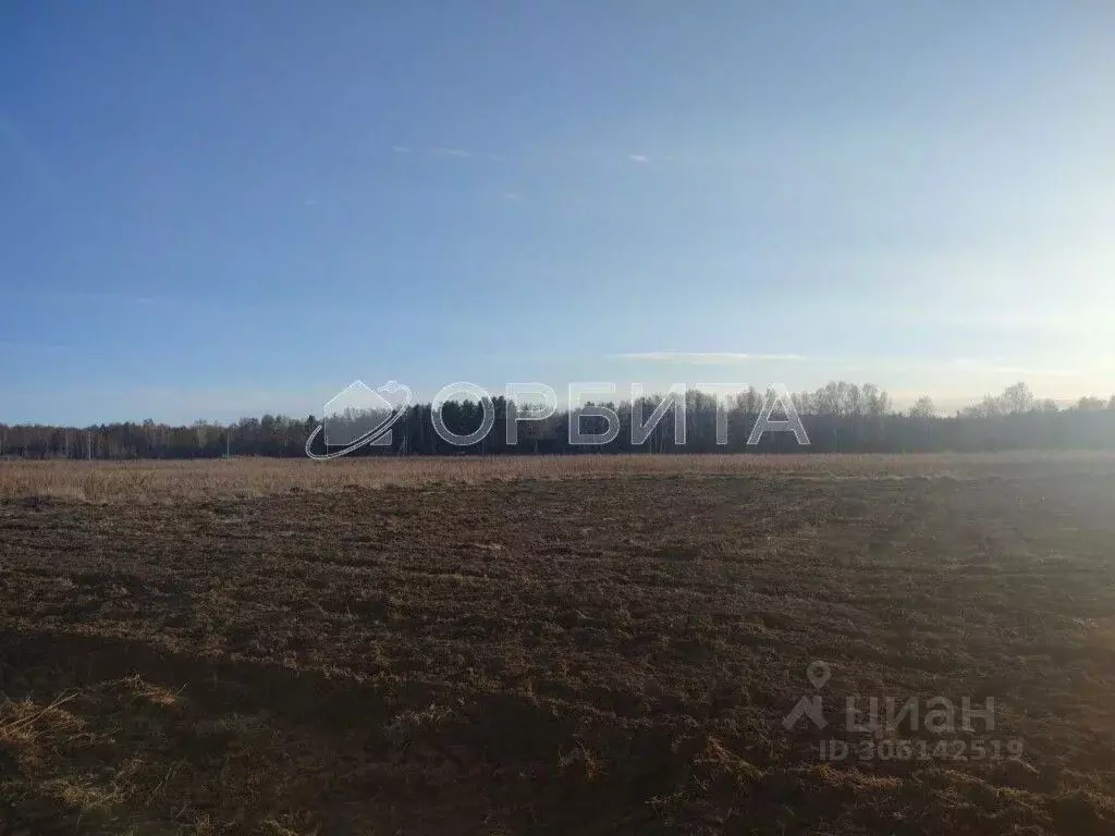 участок в тюменская область, тюменский район, с. каменка (12.3 сот.) - Фото 1