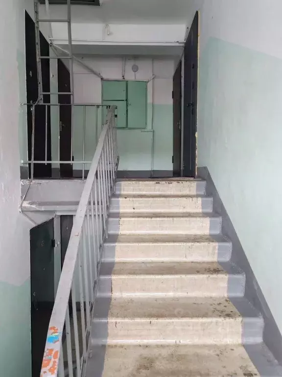 1-к кв. Московская область, Орехово-Зуевский городской округ, д. ... - Фото 2