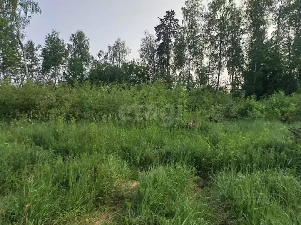 Участок в Калужская область, Малоярославецкий район, Спас-Загорье ... - Фото 2