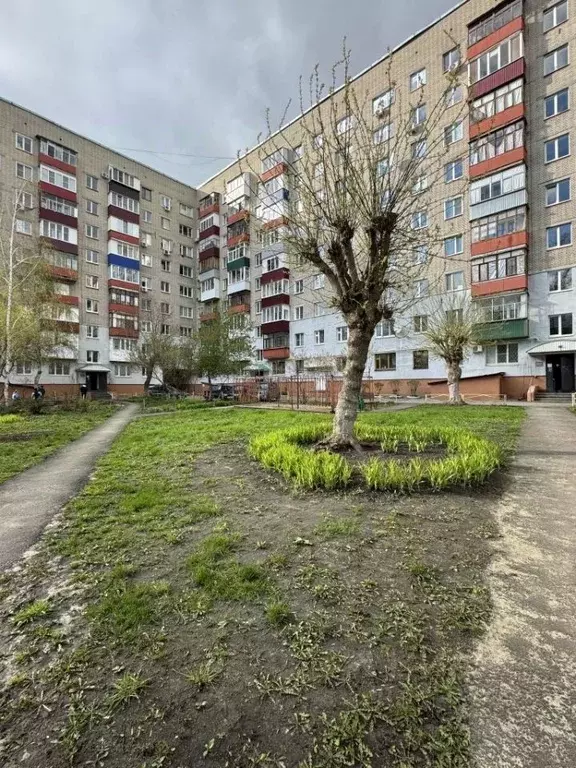 1-к кв. Пензенская область, Пенза просп. Победы, 138 (32.8 м) - Фото 2