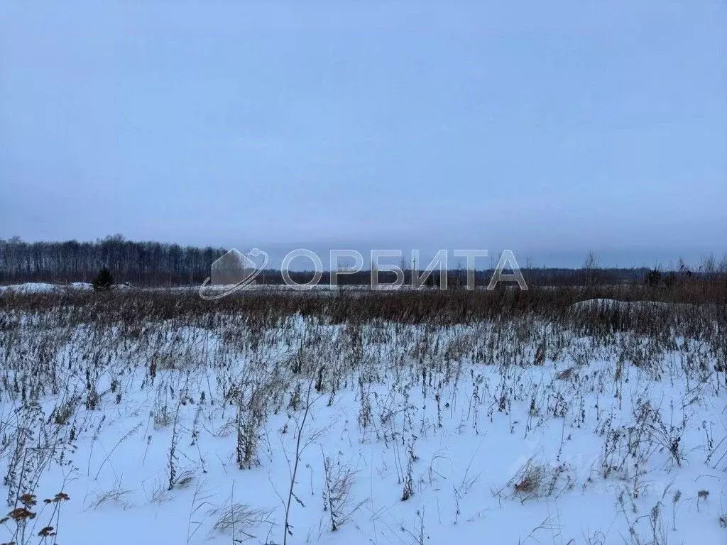 Участок в Тюменская область, Тюменский район, с. Горьковка Сибирская ... - Фото 0