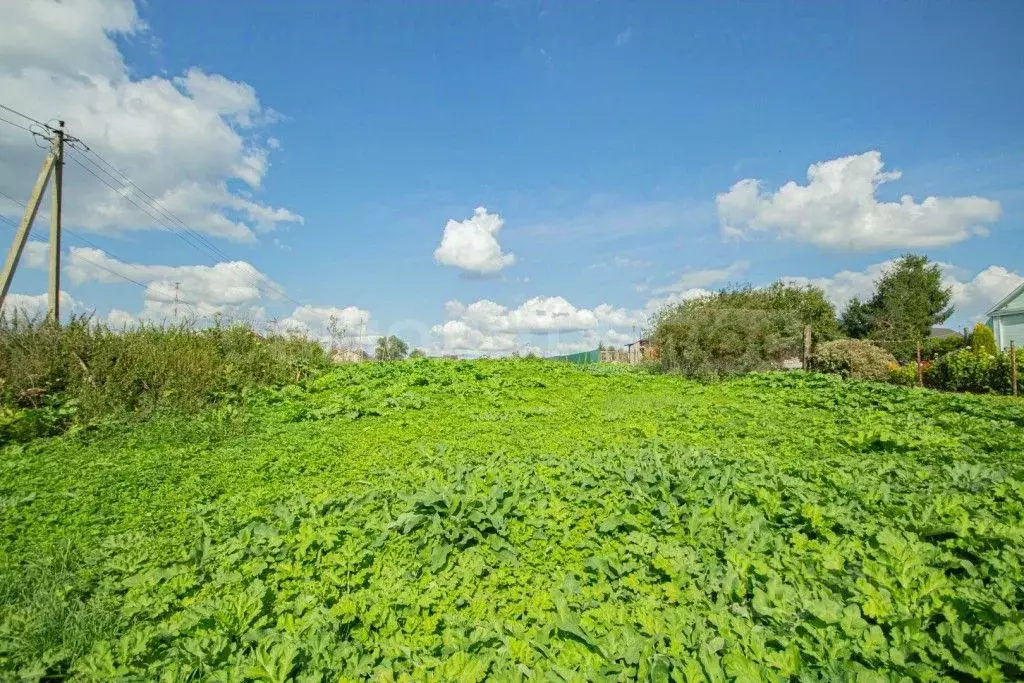 Участок в Московская область, Наро-Фоминский городской округ, с. ... - Фото 2