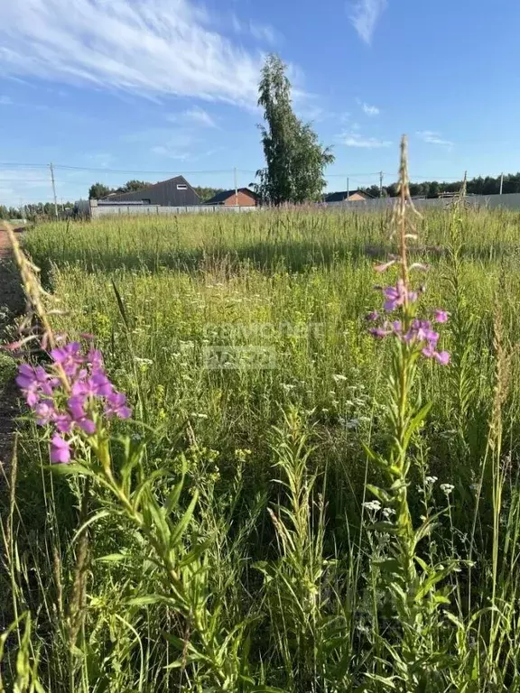 Участок в Челябинская область, Копейский городской округ, пос. ... - Фото 2