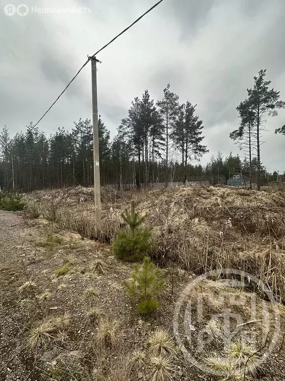 Участок в Ломоносовский район, Лебяженское городское поселение, ... - Фото 2
