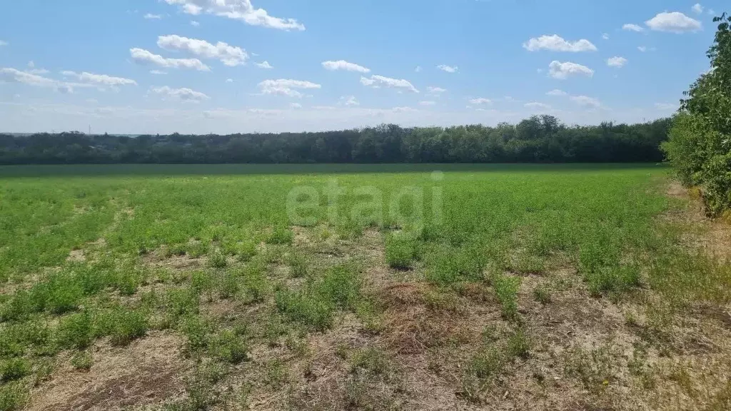 Участок в Ростовская область, Аксайский район, Щепкинское с/пос, пос. ... - Фото 1