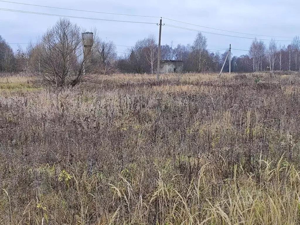 Участок в Московская область, Раменский муниципальный округ, д. ... - Фото 1