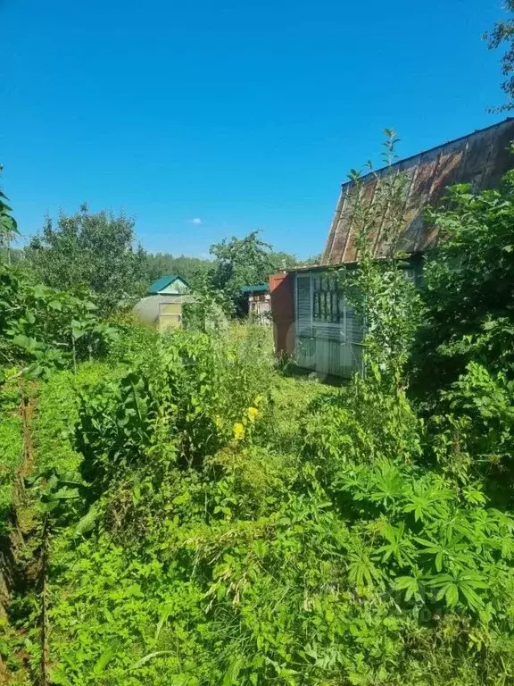 Дом в Ярославская область, Ярославский муниципальный округ, ... - Фото 1